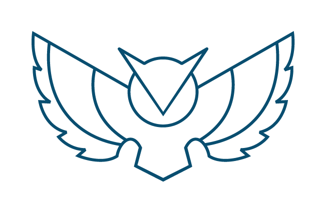 https://strixsc.com/